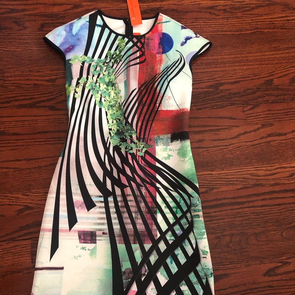 Brand new clover canyon dress